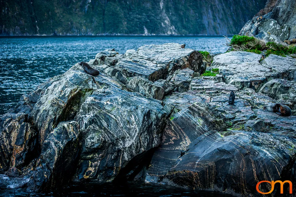 Fiordland National Park from the Air
