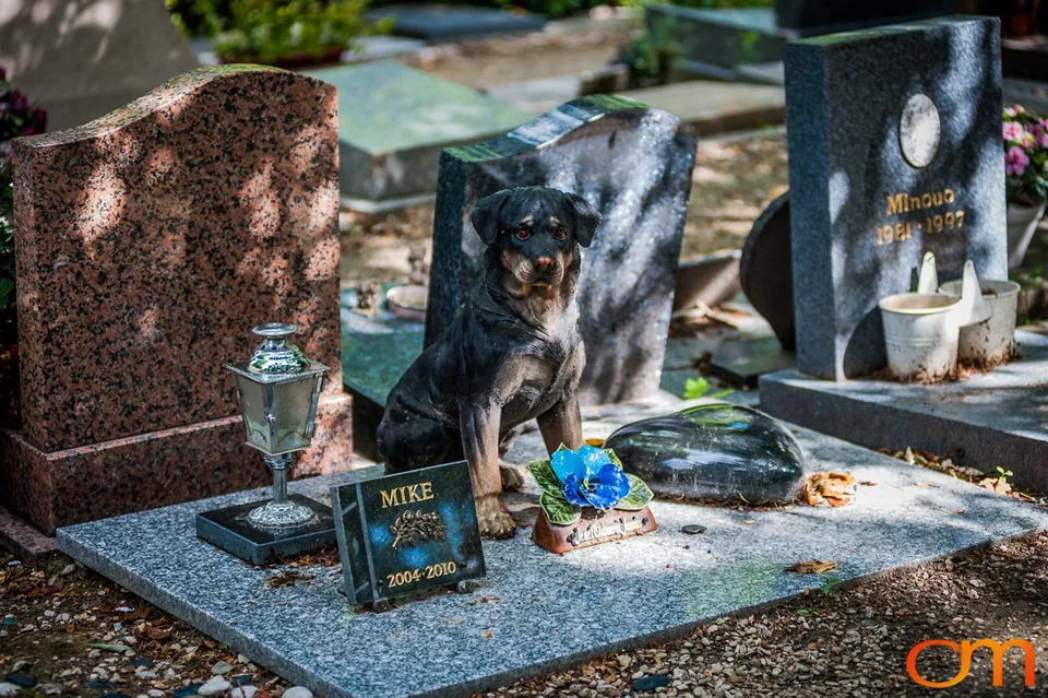 Cimetière des Chiens: The Pet Cemetery of Asnières-sur-Seine