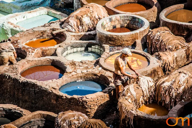 Chouaras Tanneries