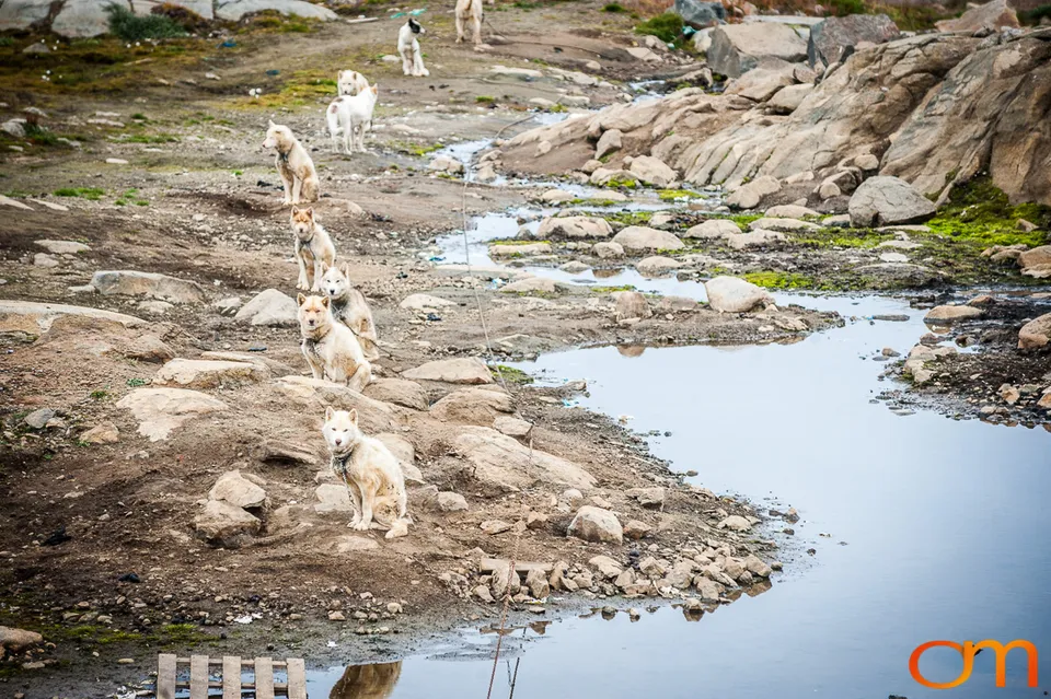 Kulusuk: A Rocky Island Settlement in East Greenland
