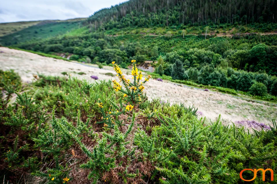 Eryri National Park (Snowdonia)