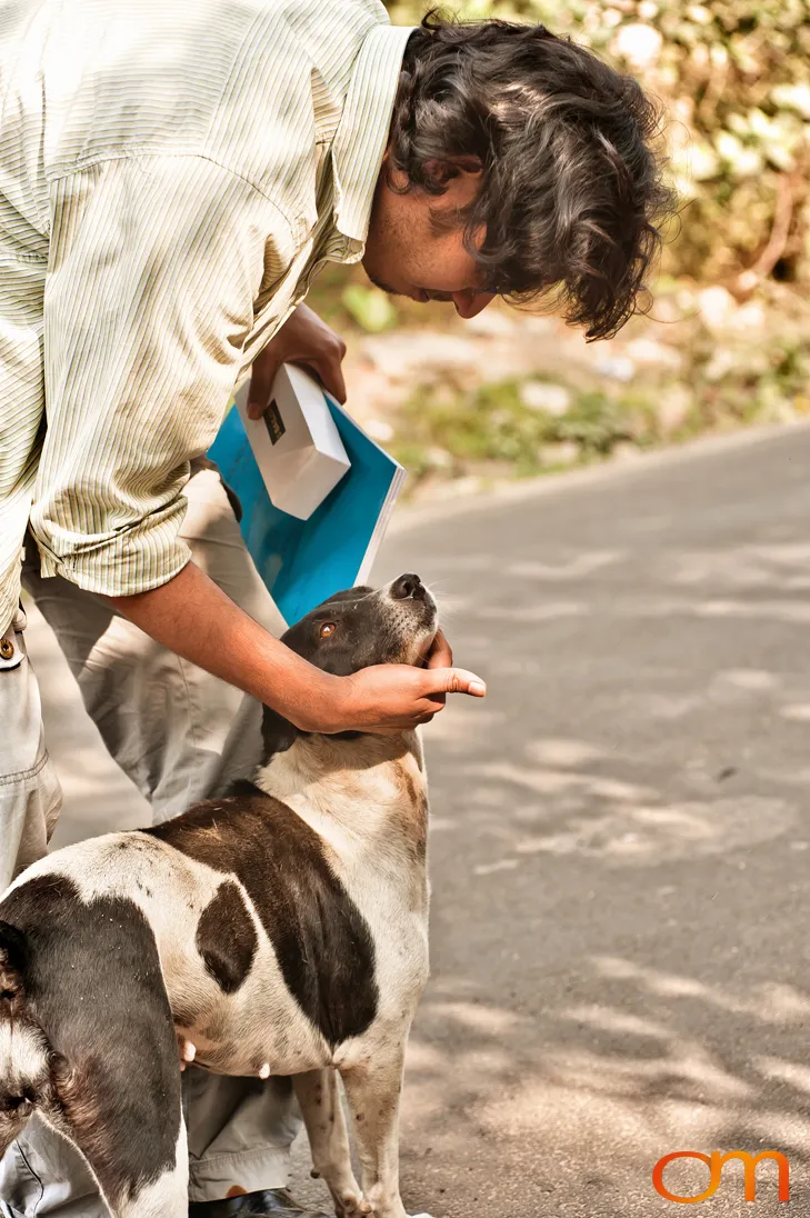 Kolkata Street Dogs: Community Care and the Indian Native Dog