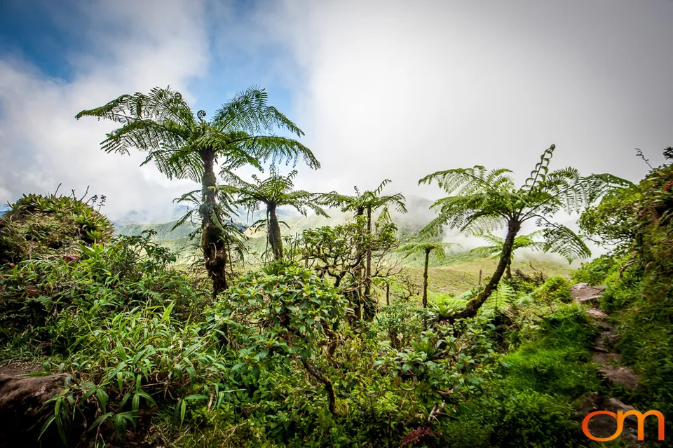 La Grande Soufrière: Guadeloupe’s Active Volcano