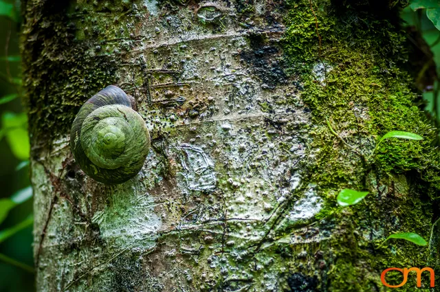 Puerto Rico: History and Biodiversity