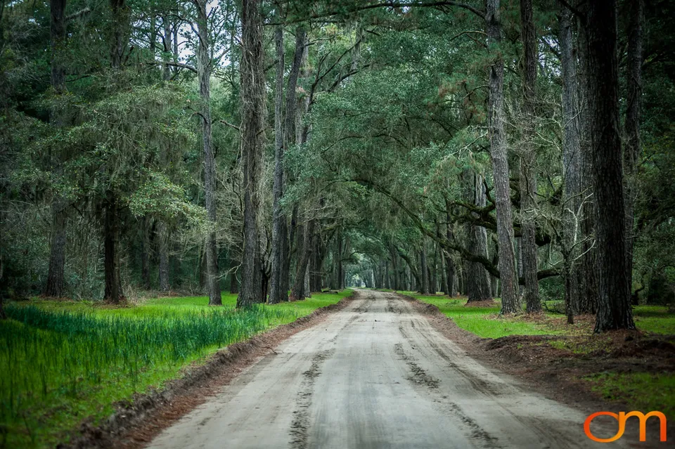 Botany Bay Plantation Heritage Preserve, Edisto Island