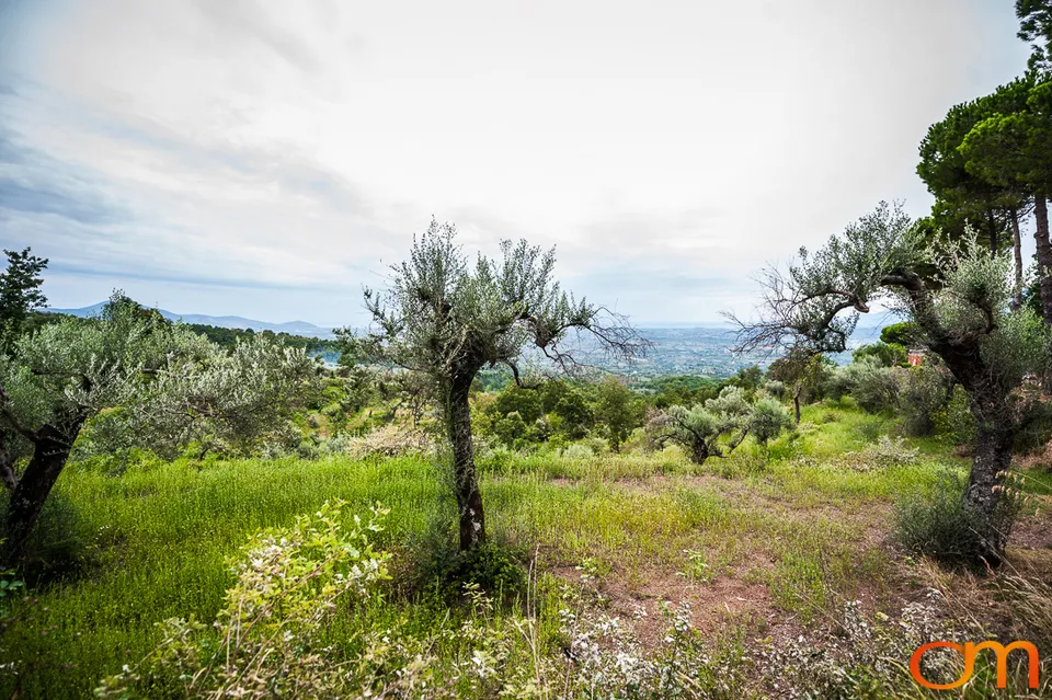 San Martino and the Roccamonfina Volcanic Landscape