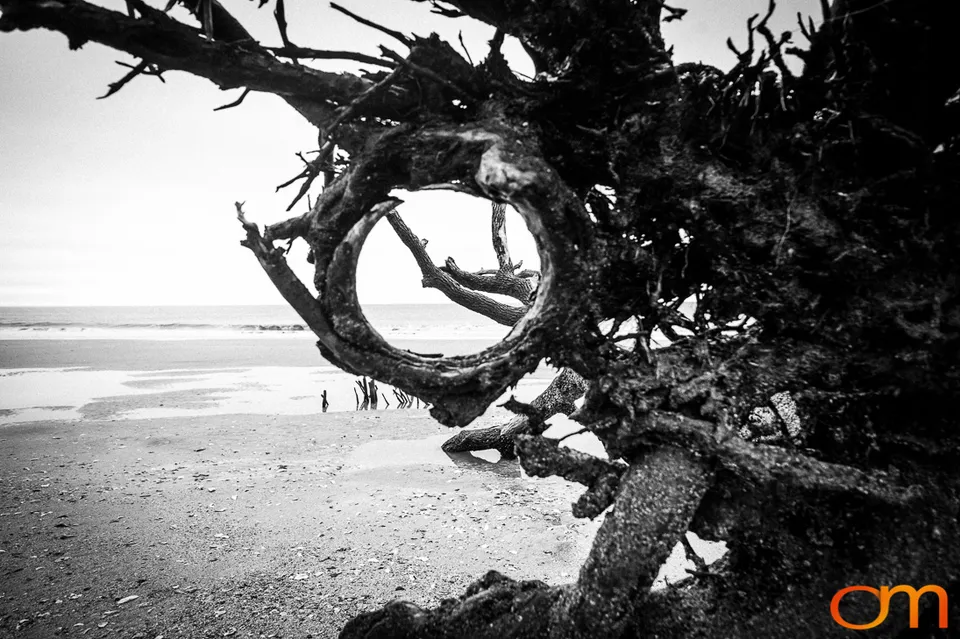 Botany Bay Plantation Heritage Preserve, Edisto Island