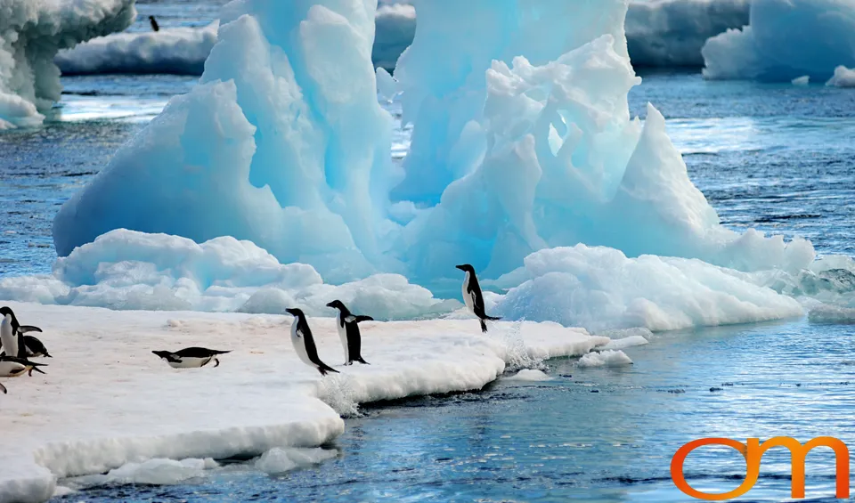 Antarctica