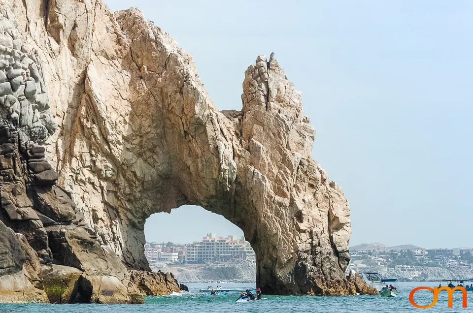 Cabo San Lucas: Marine Wildlife at Land’s End
