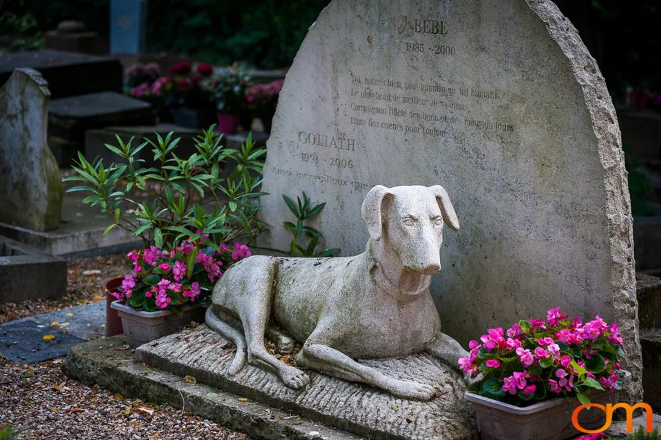 Cimetière des Chiens: The Pet Cemetery of Asnières-sur-Seine