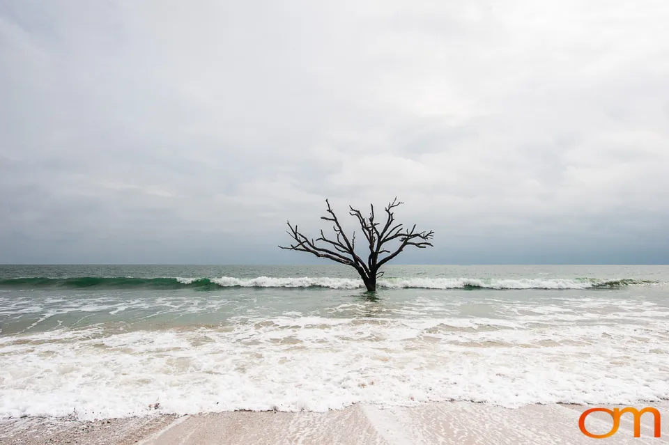 Botany Bay Plantation Heritage Preserve, Edisto Island