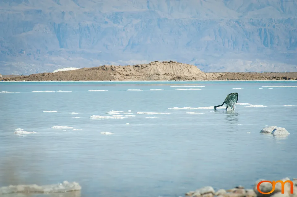 Israel: Dead Sea