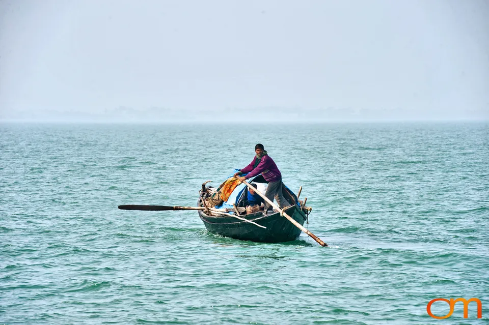 The Indian Sundarbans: Mangrove Forests and Tidal Islands