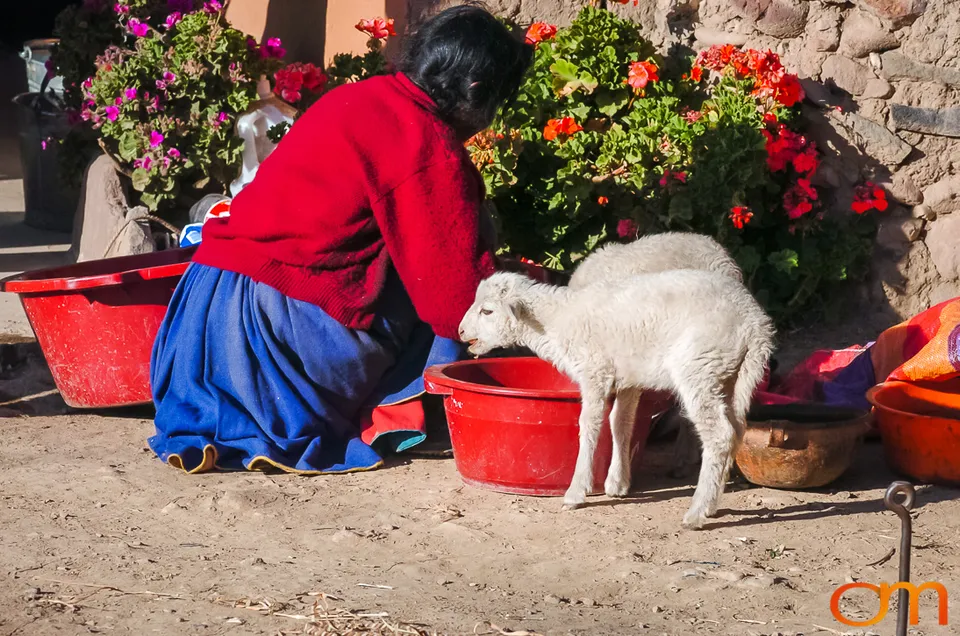 Amantaní Island, Lake Titicaca
