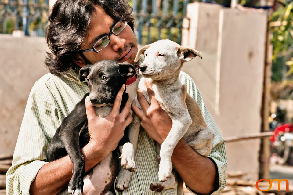 Kolkata Street Dogs: Community Care and the Indian Native Dog