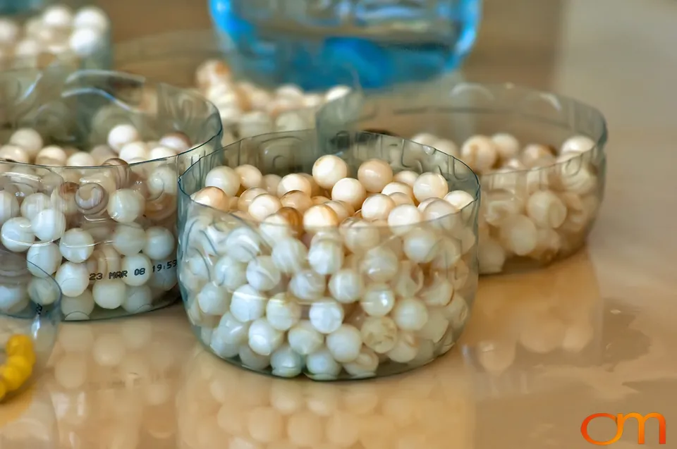 Cultivating Tahitian Pearls in French Polynesia