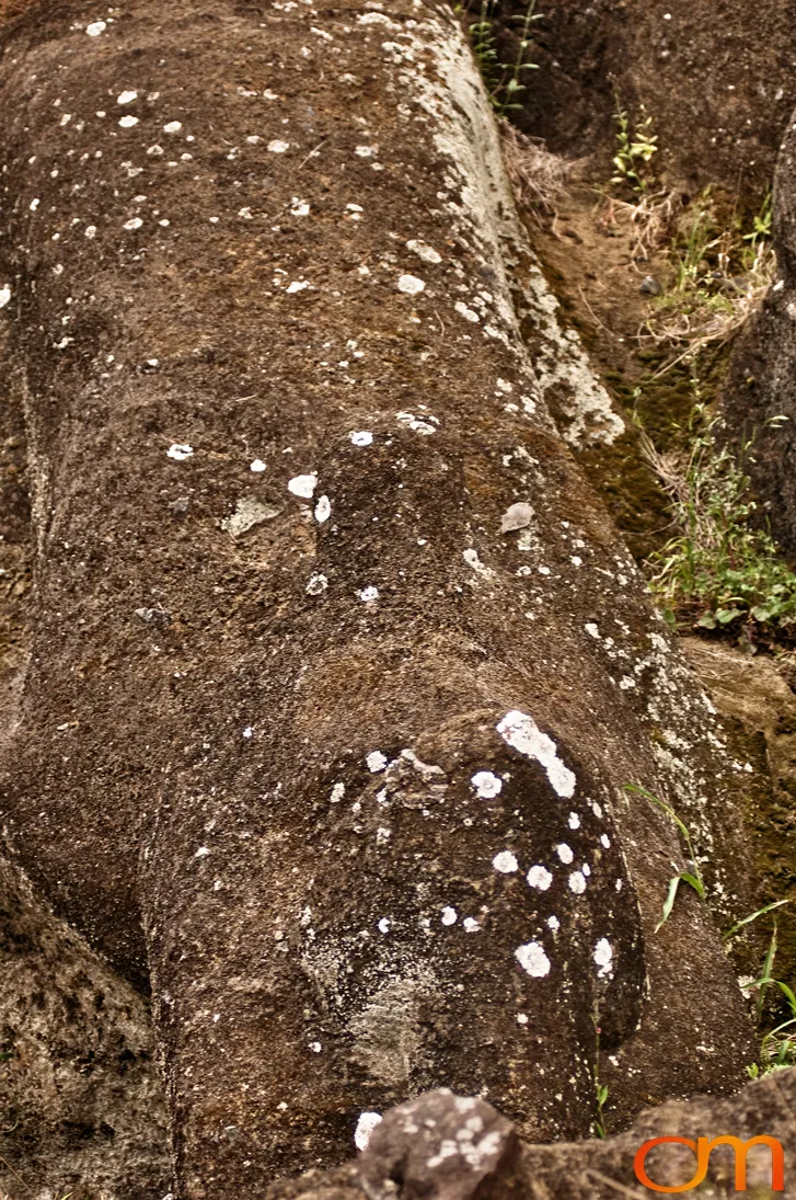 Orongo: Ceremonial Village of the Birdman Tradition