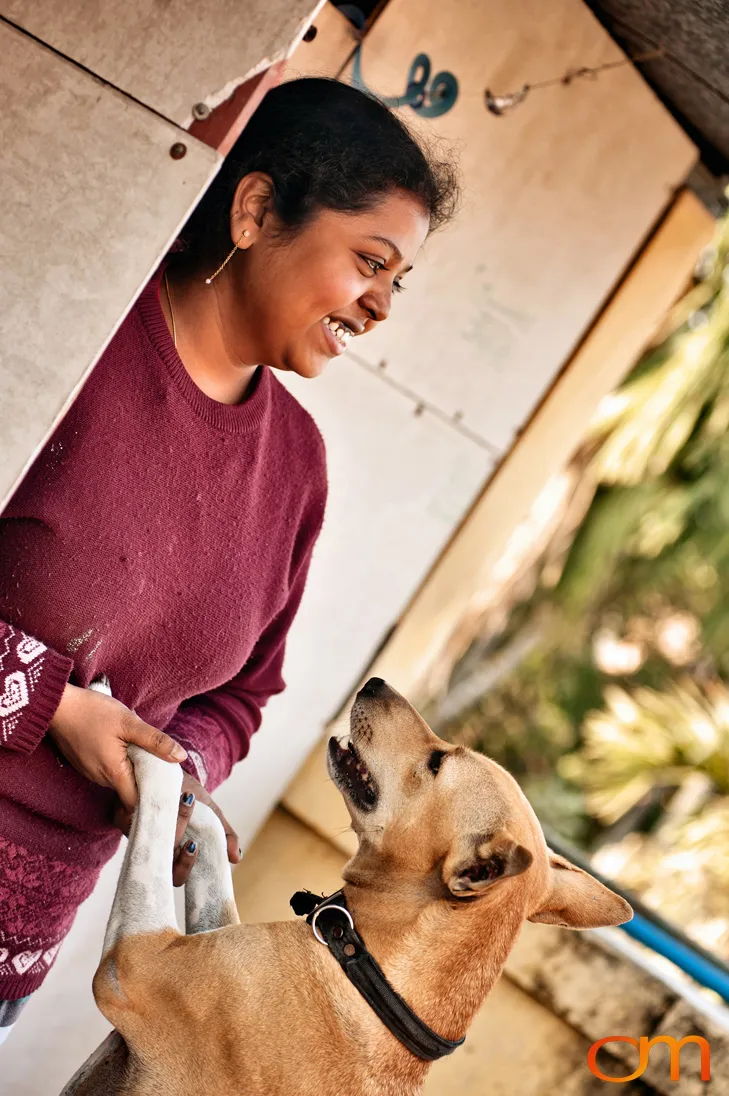 Kolkata Street Dogs: Community Care and the Indian Native Dog