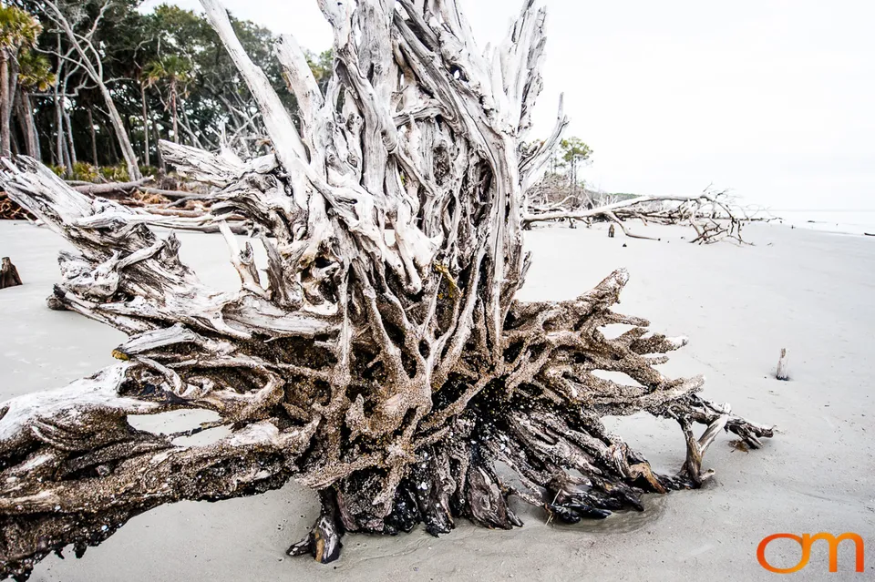 Hunting Island State Park and Lighthouse