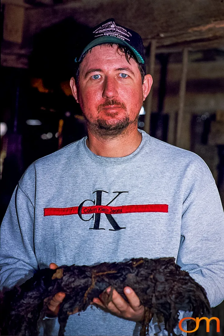 Perique Tobacco: Pressure Fermentation in Louisiana
