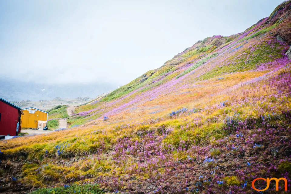 Village of Color: Tasiilaq, Greenland