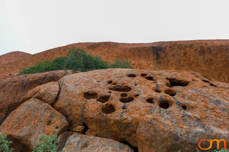 Uluṟu–Kata Tjuṯa National Park