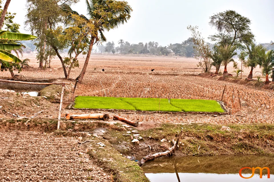The Indian Sundarbans: Mangrove Forests and Tidal Islands