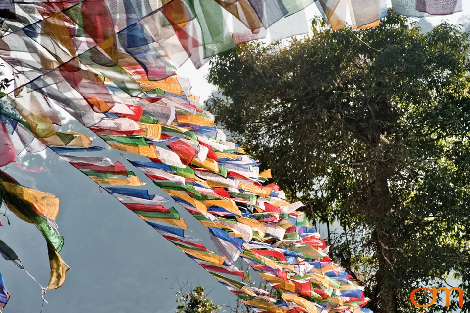 Sikkim: Biodiversity, Sacred Landscapes and Organic Farming